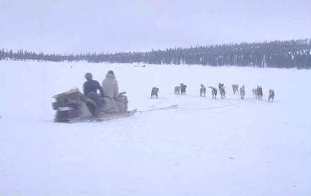 Unidentified Innu travelling on a komatik pulled by a dog team 1966-1968 (photo Georg Henriksen).