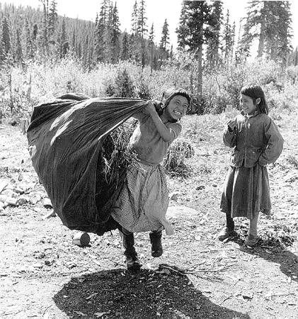 Etit (Rich) Tshakapesh and Mani-An (Rich) Rich gathering spruce boughs for the tent floor in the Natuashish area in the early 1960s (photo Ray Webber).