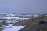 Paysage typique d´une r�gion de corrals dans les terres d�nud�es du Nord du Labrador (photo Peter Armitage)