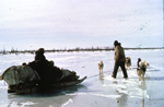 Innus non identifi�s voyageant sur un tra�neau � chiens, 1966-1968 (photo Georg henriksen).