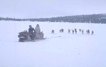 Unidentified Innu travelling on a komatik pulled by a dog team, 1966-1968 (photo Georg Henriksen).
